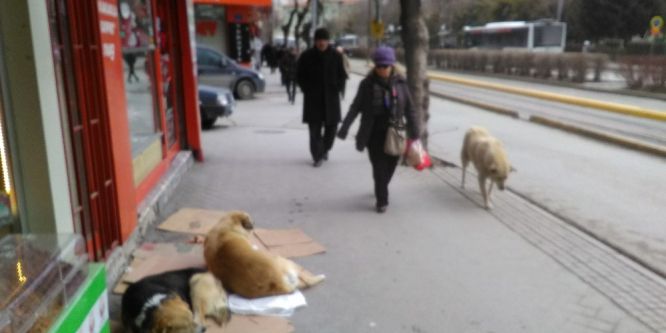 Esnaflardan örnek davranış