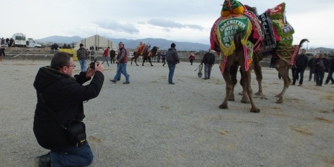 Deve güreşini fotoğraflamak için Çanakkale’den geldi