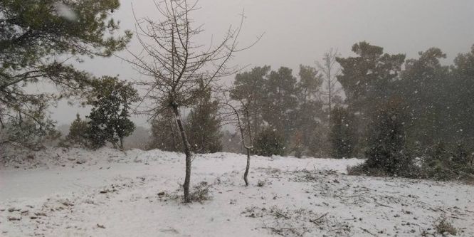 Aydın’da tarihi manzara