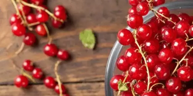 9- 10 sene ömrü uzatan o meyve!