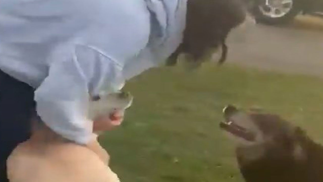 9 ay sonra Dünya’ya dönen astronot evine döndü