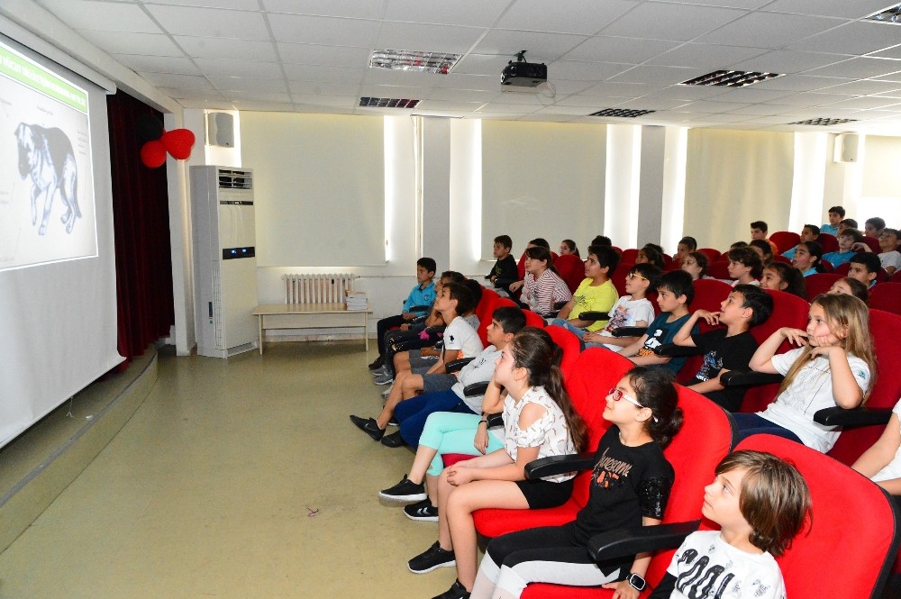 9 ayda 2 bin 244 sokak hayvanı tedavi edildi 