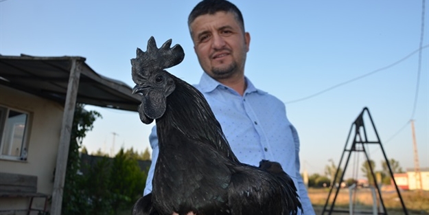 9 bin liraya satılıyor