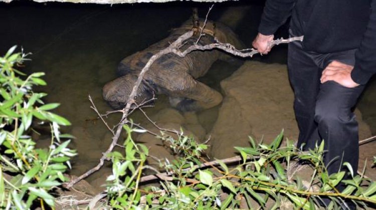 9 gündür aranan gencin cenazesi ırmakta bulundu