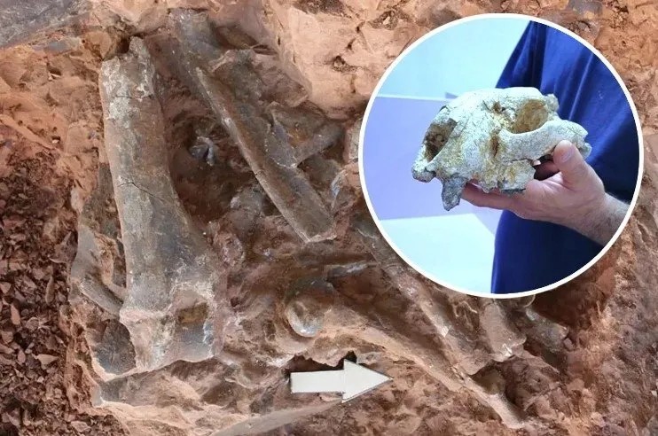 9 milyon öncesine ait! Bilim insanları onun peşinde, o da Denizli’de…