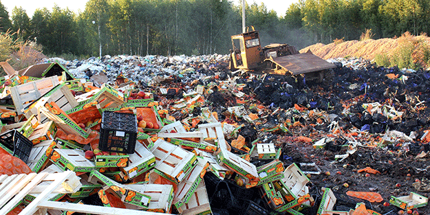 9 milyon ton yaş sebze meyve çöpe gitti!