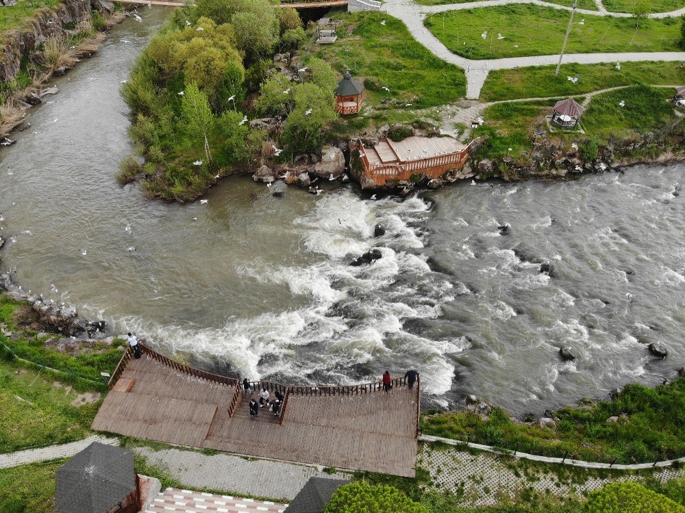 9. Uluslararası İnci Kefali Göçü Kültür ve Sanat Festivali başlıyor 