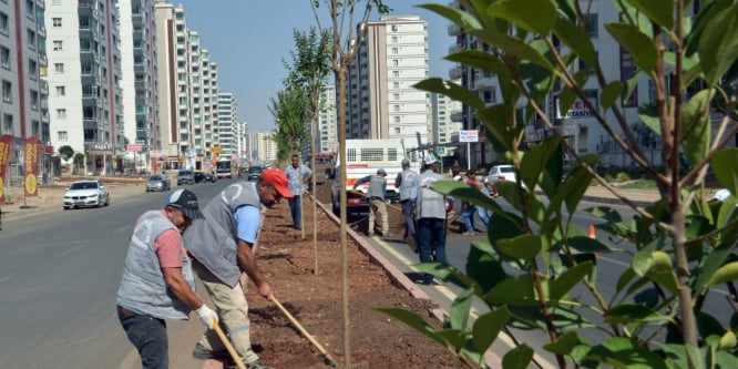 Nazım Hikmet Caddesi artık daha yeşil