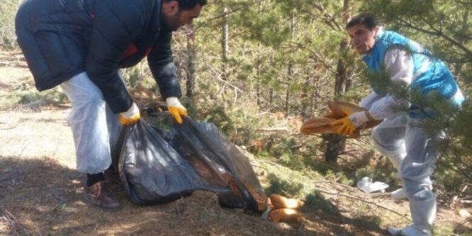 Yaban hayvanları için doğaya yem bırakıldı