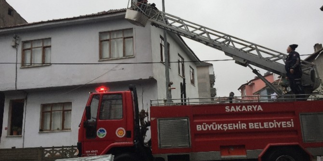 Mahsur kalan kedi itfaiye ekipleri tarafından kurtarıldı