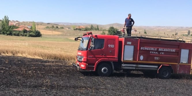 Sungurlu’da buğday ekili tarla yandı