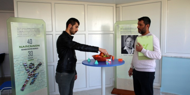 Bonzai tehlikesi artıyor