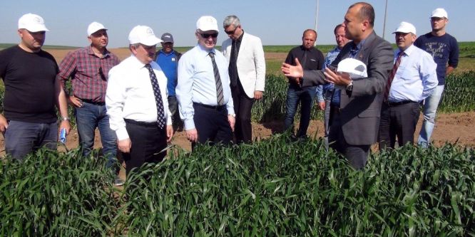 Türkiye yüzde 100 yerli tohum üretiyor