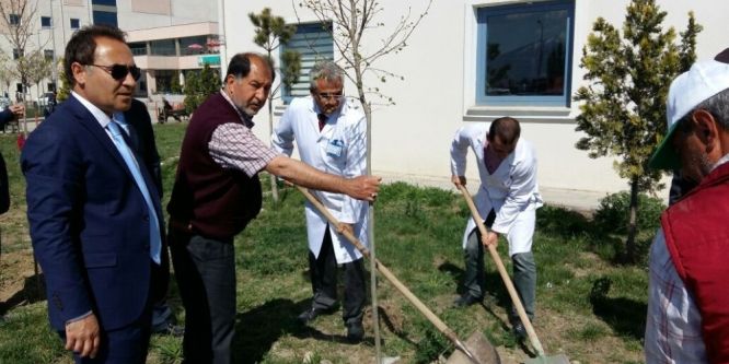 Iğdır Devlet Hastanesi bahçesi yeşilleniyor