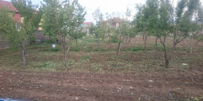 Niğde’de tarım arazilerini dolu vurdu