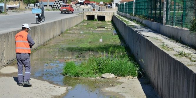 Gediz Belediyesinden ilaçlama çalışması