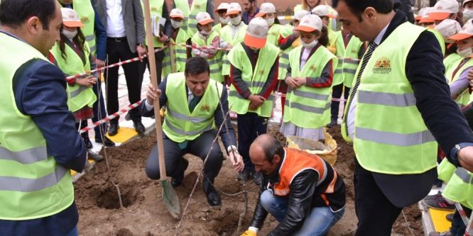 İpekyolu Belediyesinden fidan dikimi