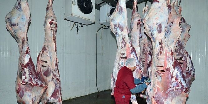 Bergama mezbahasına kavuştu