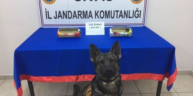 Meyve suyu kutuları içerisinde esrar yakalandı