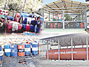 Sapanca Gölü risk altında