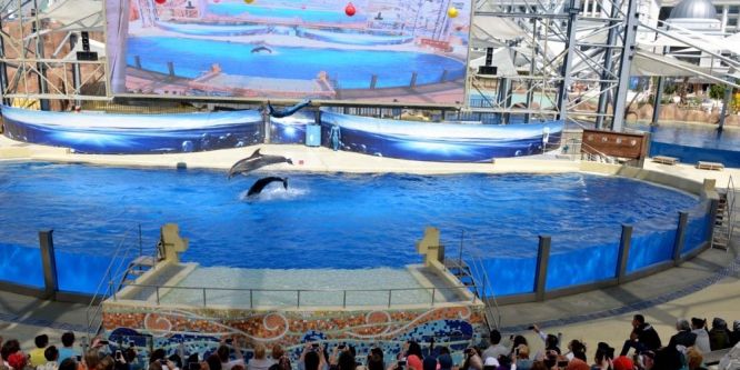 Yetim çocuklara özel tatil