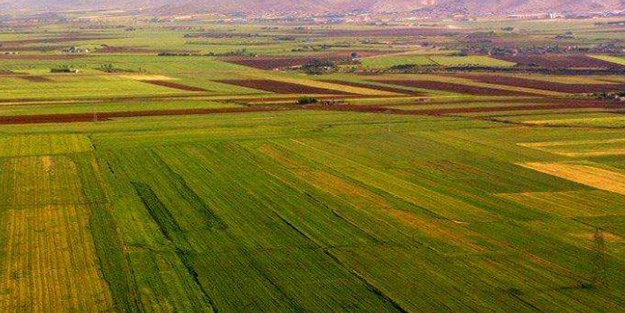 99 yıllığına arazi kiralanmıştı! Türkiye'nin Sudan'daki tarım yapma projesiyle ilgili şok gelişme