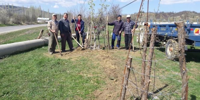 Gönüllü insanlar onlarca fidan dikti