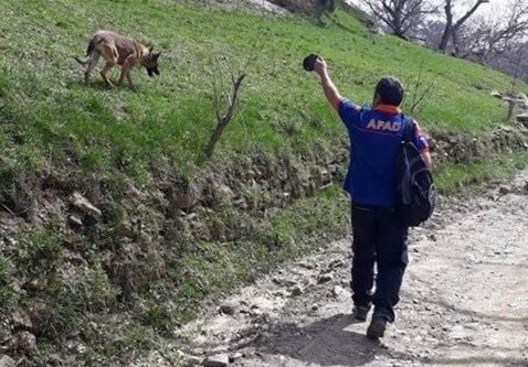 AFAD ekipleri, Hizanda kayıp genci arıyor