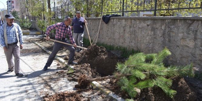Muş Belediyesinden yeşillendirme çalışması