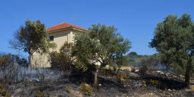 Didim’de yangın paniği