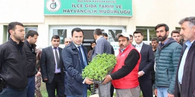 Çiftçilere sebze fidesi dağıtımı yapıldı