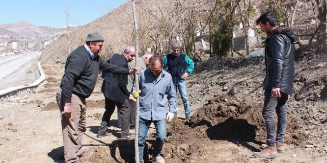 Hakkari’de ağaçlandırma çalışması yapılıyor