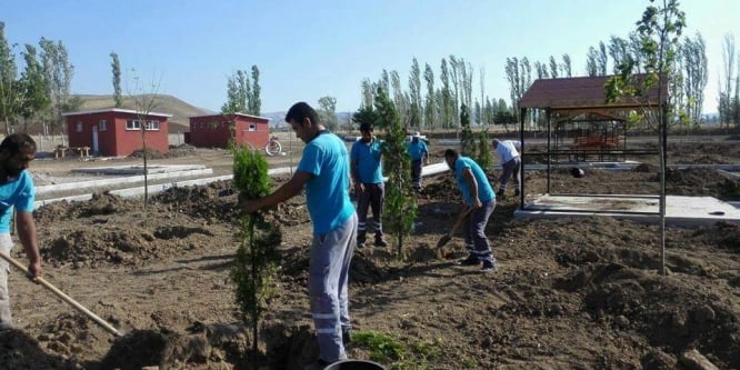Sungurlu’da mesire alanları ağaçlandırılıyor