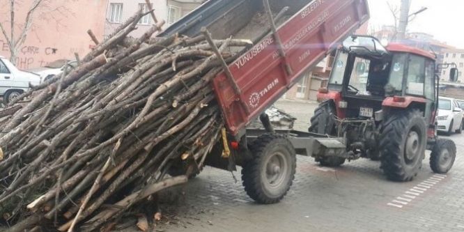 Budanan ağaçlar ihtiyaç sahiplerine dağıtılıyor
