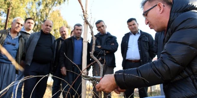 Çiftçi bilinçlendikçe üretim artıyor