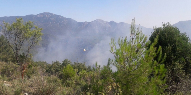 Antalya Gündoğmuş’ta orman yangını