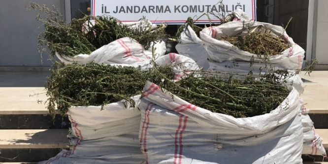 Antalya’da uyuşturucu operasyonu