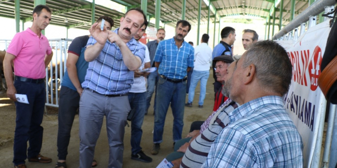 Polis ekiplerinden kurban satıcılarına dolandırıcılık uyarısı