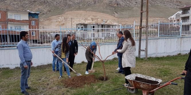 Adilcevaz’da fidan dikimi