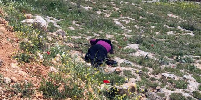 Şanlıurfa’da trafik kazası: 1 ölü, 2 yaralı