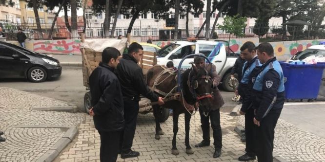 Trafiği tehlikeye atan at arabaları toplandı