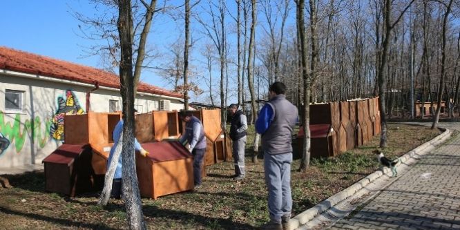 ''Bir pati de sen tut'' projesine plaket verildi