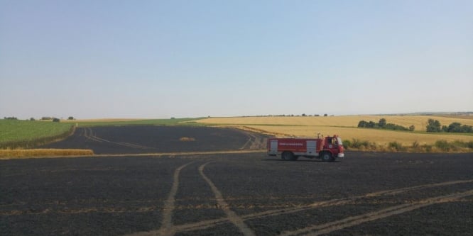 İtfaiyenin erken müdahalesi buğday tarlasını kül olmaktan kurtardı