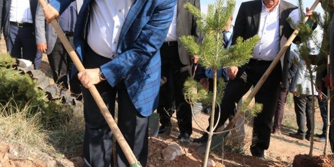 Aksaray Zabıtasından şehitler anısına fidan
