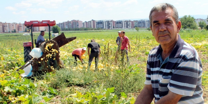İlk kez ekildi, üreticiyi güldürdü