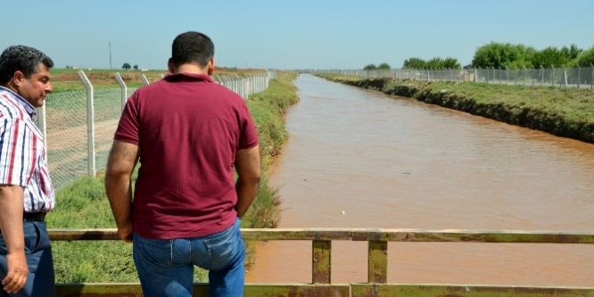 Dicle Elektrik israfı fotoğrafladı