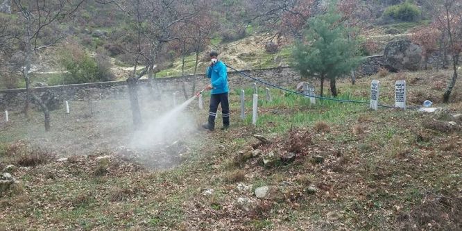 Gördes’in mezarlıkları ilaçlanıyor