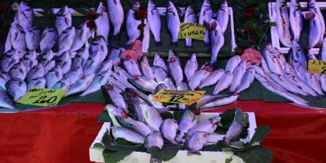 Balık fiyatları cep yakıyor