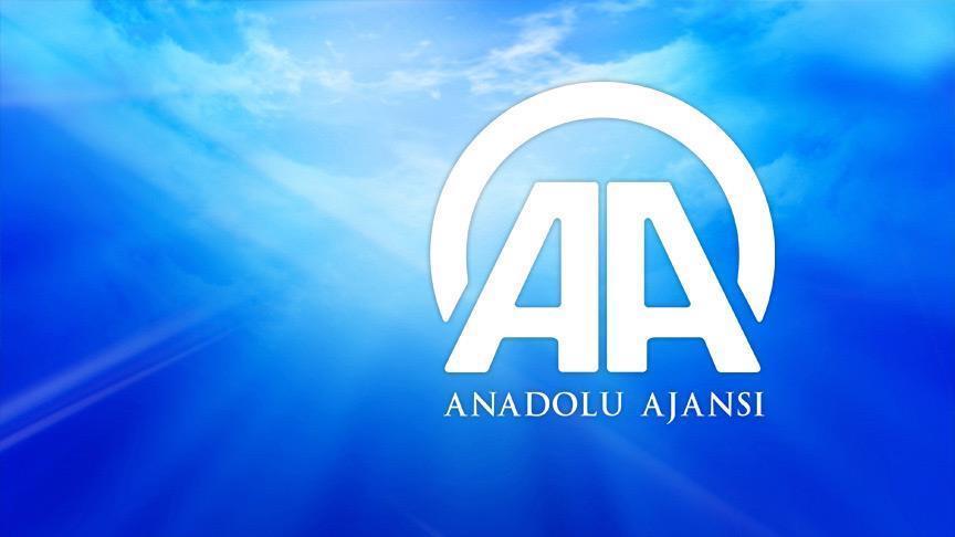 AA Katar Temsilcisine plaket