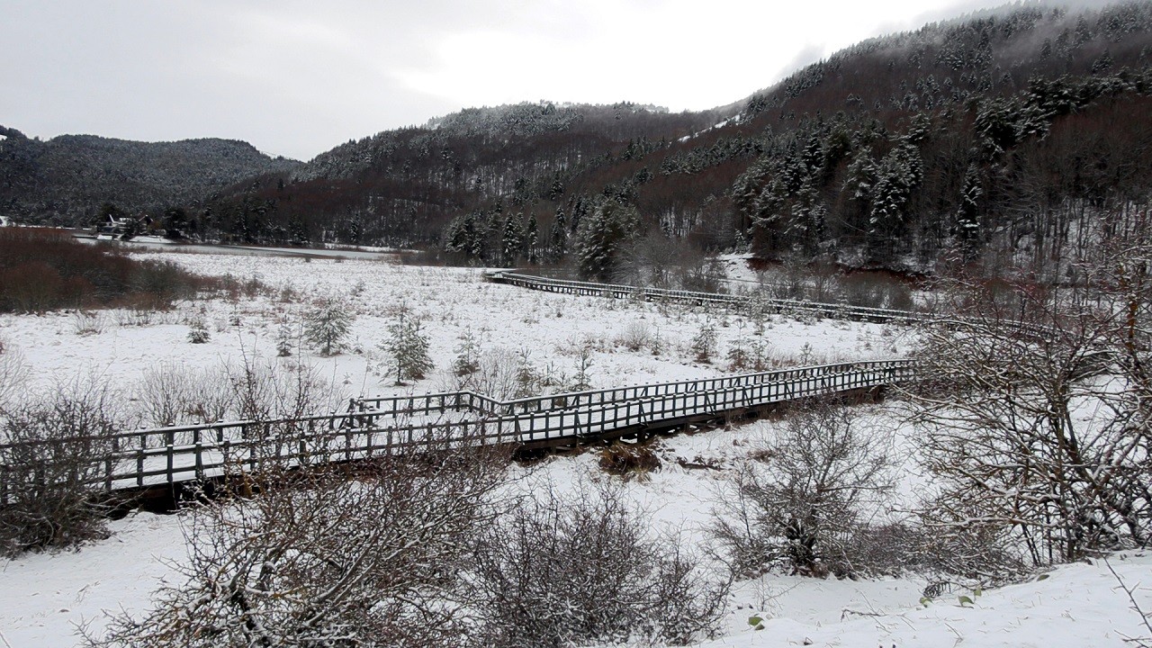 Abant Gölü beyaza büründü